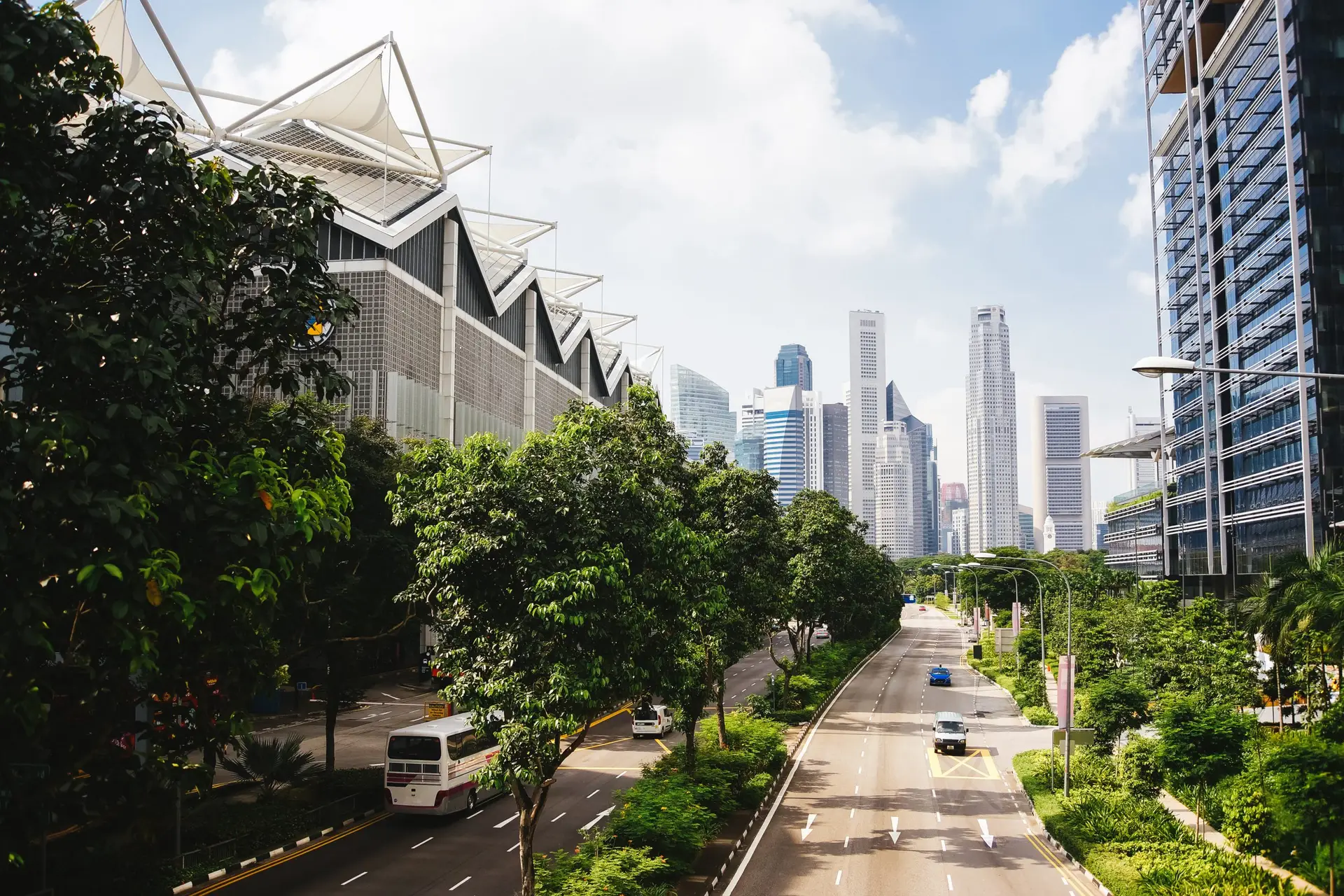 Tree-lined city street with buildings and public transport